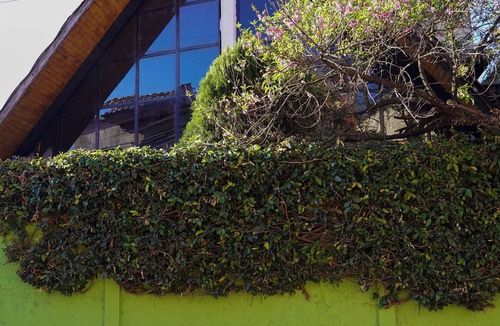 San Cristobal de las Casas House | John Cruz House