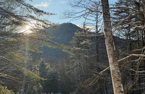 Charlemont House | Joia Verde Mtn Cabin