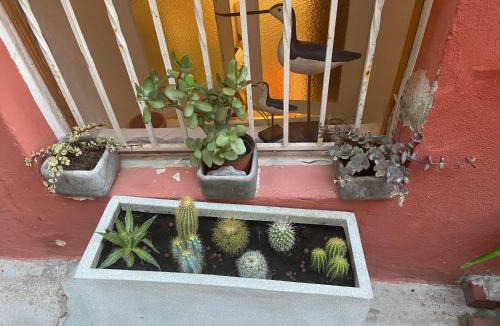 Old Town Apartment | Joli Appart 29m2 en Vieille Ville Menton 2 mins de la mer