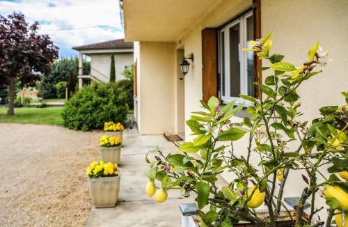Gaillac Apartment | JOLI APPARTEMENT - PISCINE - 68m2 - GAILLAC