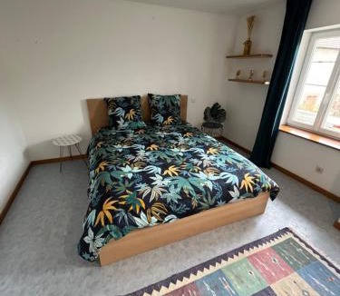 Saales Apartment | Joli appartement situé à saales