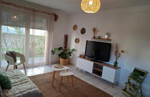 Castres Apartment | Joli Appt La Pérouse, 2 Chbres, Centre ville, Jardin
