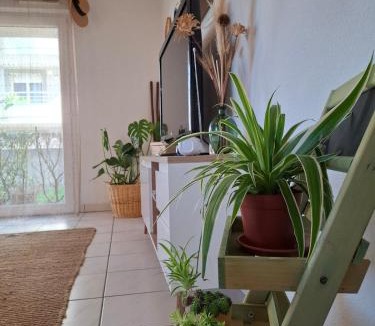 Castres Apartment | Joli Appt La Pérouse, 2 Chbres, Centre ville, Jardin
