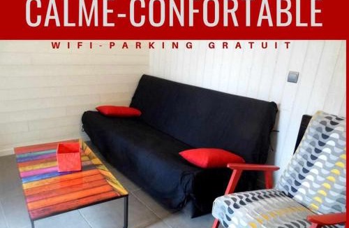 Vieille-Brioude Apartment | Joli petit T4 confortable au bord de leau