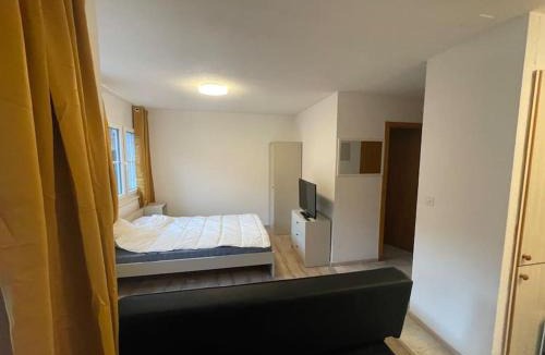 Moleson Apartment | Joli studio au pied du Moleson