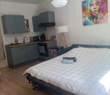 Toul Apartment | Joli studio au rdc avec cour