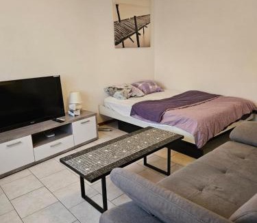 Le Cret-du-Locle Apartment | Joli Studio
