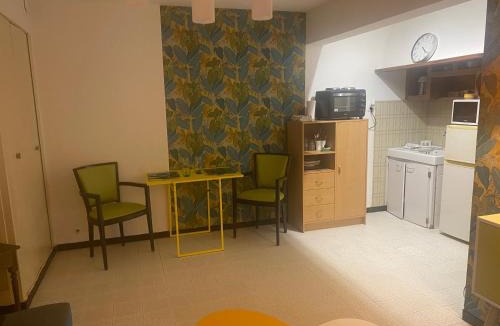 Saint-Cyr-sur-Loire Apartment | Joli studio