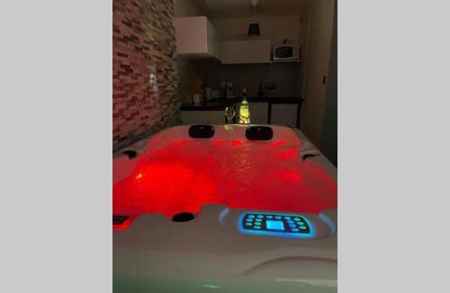 Trois Cocus - Borderouge - Croix-Daurade - Paleficat Apartment | Joli T2, jacuzzi, lit rond, jardin, parking privé, métro
