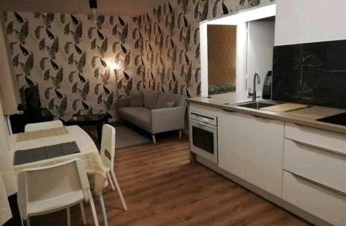 Vezin-le-Coquet Apartment | Joli T2 près de Rennes