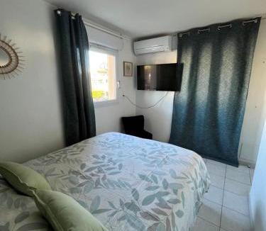 Croix-d'Argent Apartment | Joli T2/Tram/Clim/Parking/Wifi/Piscine