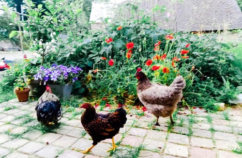 Saint-Brandan Other | Jolie caravane vintage