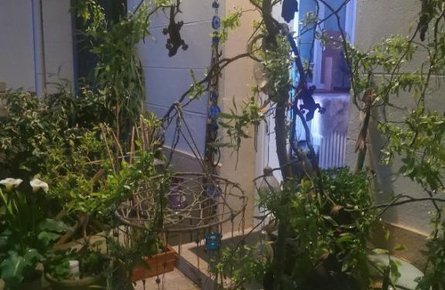 La Demi - Lune House | Jolie duplex parking 10mn de Lyon centre