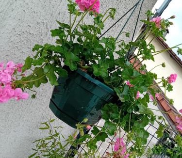 Thonnance-Les-Joinville House | Jolie maison rénovée avec espace vert