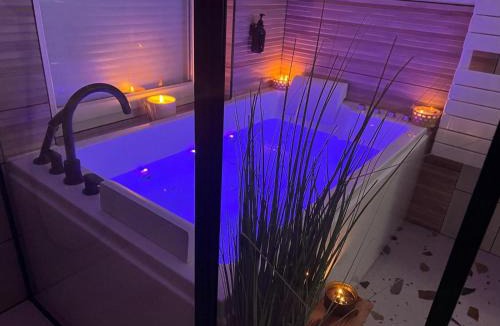 Baudrieres House | Jolie Maison avec Balnéothérapie