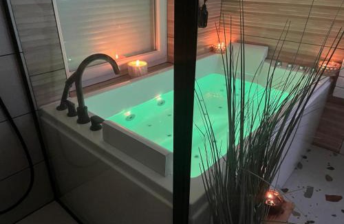 Baudrieres House | Jolie Maison avec Balnéothérapie