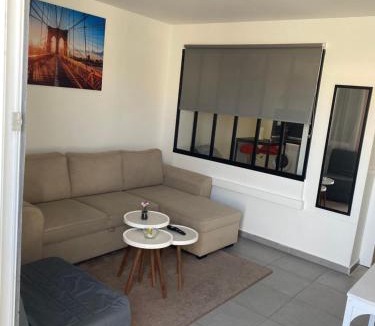 Porte Des Alpes - Mi Plaine - Manissieux Apartment | Jolie perle