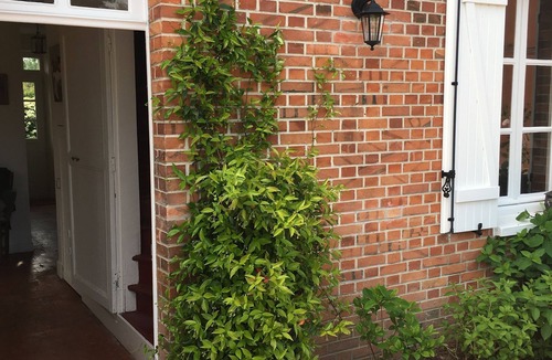 Souvigny-en-Sologne House | Jolie Solognote de Village