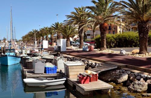 Les Hauts de Canet Apartment | Jolie Studio 20m2 à Canet en Roussillion