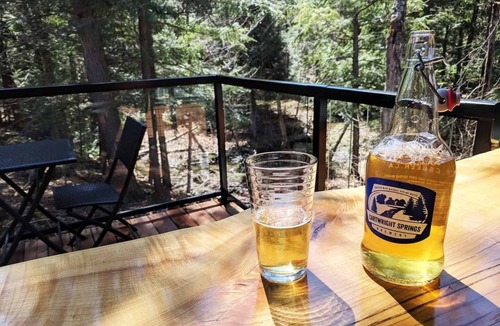 Mississippi Mills Cabin | Joni Cabin | Intimate Wilderness Retreat