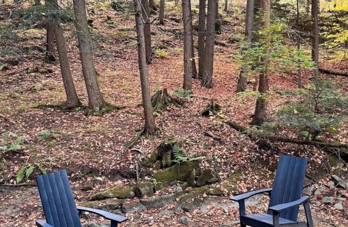 Mississippi Mills Cabin | Joni Cabin | Intimate Wilderness Retreat