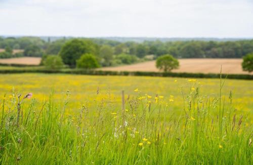 Bletchingley House | Jossie's Snug