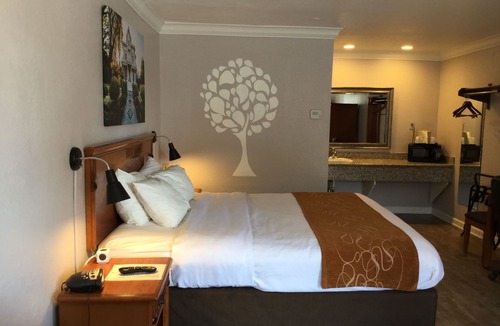 Woodland Hotel | Journey Inn