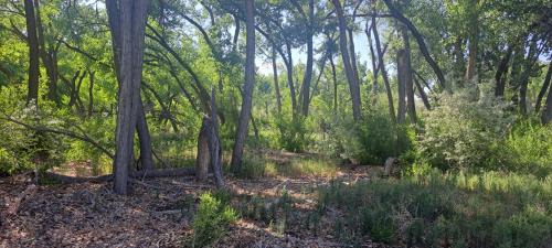 Farmington Other | Journey Southwest Resort Anesi Park