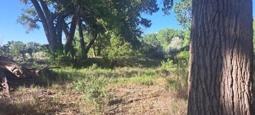 Farmington Other | Journey Southwest Resort Anesi Park