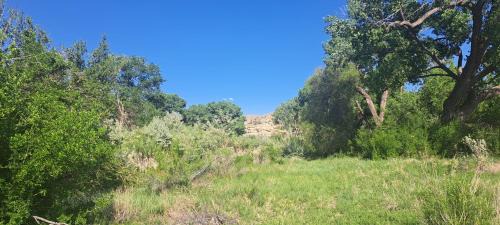 Farmington Other | Journey Southwest Resort Anesi Park