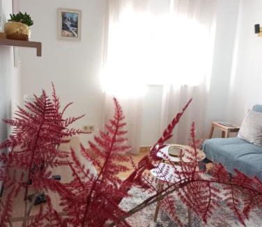 Cilipi Apartment | Joy4You
