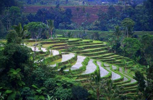 Munggu Villa | Joyau de A SUPPRIMER