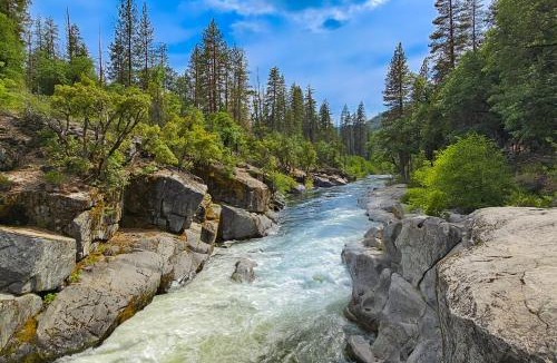 Dorrington House | Jug Handle Hideaway