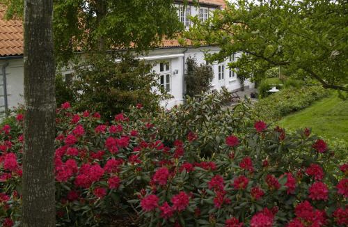 Bjert Apartment | Juhl's Bed & Breakfast