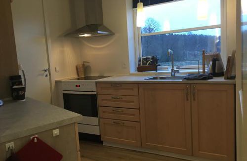 Svejbæk Apartment | Julsø lejligheden