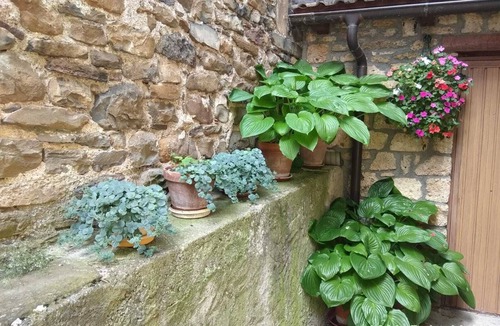 Torla-Ordesa Cottage | July house for 6 people