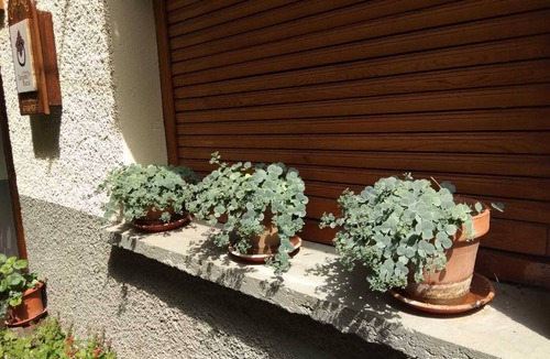 Torla-Ordesa Cottage | July house for 6 people