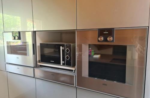 Wilderswil Apartment | Jungfrau Penthouse - Aare Jungfrau AG