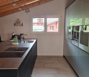 Wilderswil Apartment | Jungfrau Penthouse - Aare Jungfrau AG