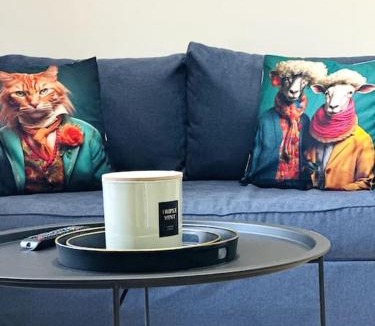 Laon Apartment | Jungle Appartement avec terrasse