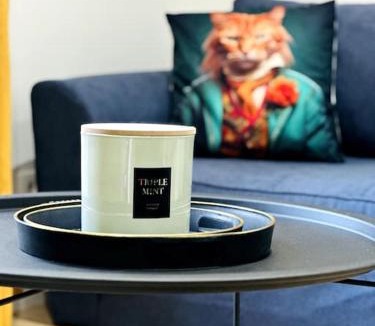 Laon Apartment | Jungle Appartement avec terrasse