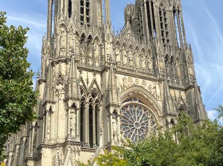 Hincmar Apartment | Jungle - Cathédrale - Centre