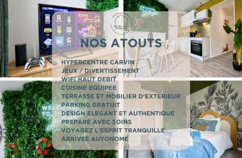Carvin Apartment | Jungle Club Suite - Netflix - Hyper-Centre