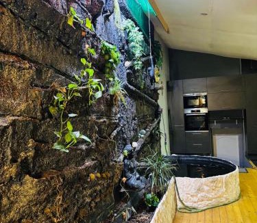 Fumel Apartment | Jungle Gite