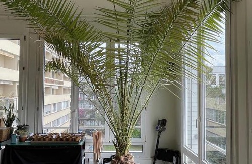 Lausanne Apartment | Jungle Loft in Lausanne Centre