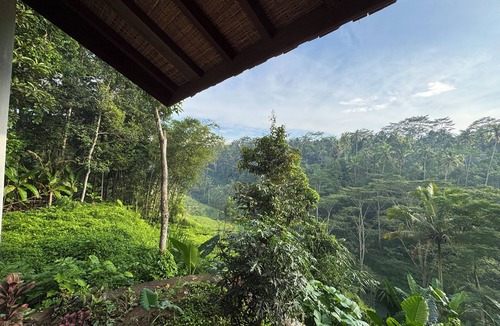 Tampaksiring Cottage | Jungle Nook - Valley Paddy View - Plantbased Bliss