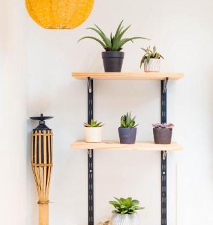 Henriville Apartment | Jungle Studio - 2P à 4P -Henriville