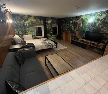 Saales Apartment | Jungle studio