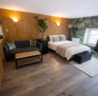 Saales Apartment | Jungle studio