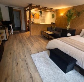 Saales Apartment | Jungle studio